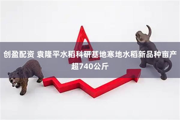 创盈配资 袁隆平水稻科研基地寒地水稻新品种亩产超740公斤