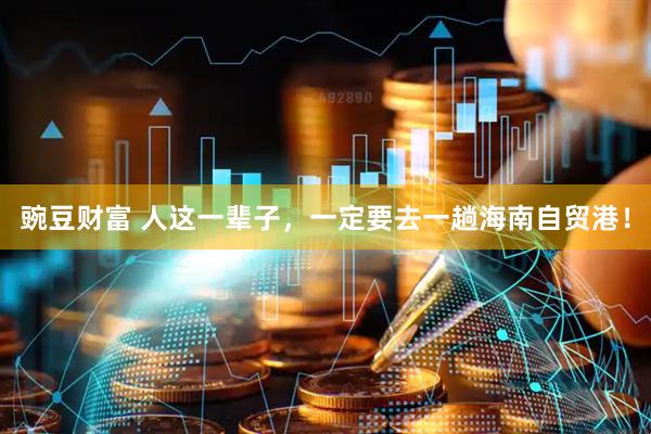 豌豆财富 人这一辈子，一定要去一趟海南自贸港！